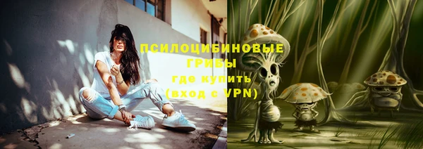 мет Кукмор